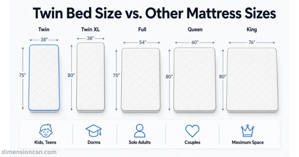 twin-bed-dimensions-vs-other-mattress